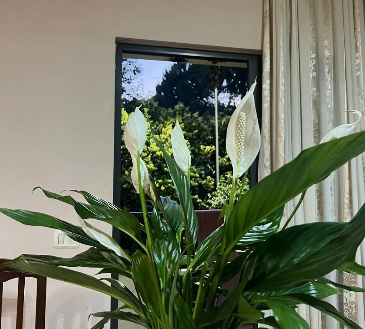 Didis Apartment Tirana